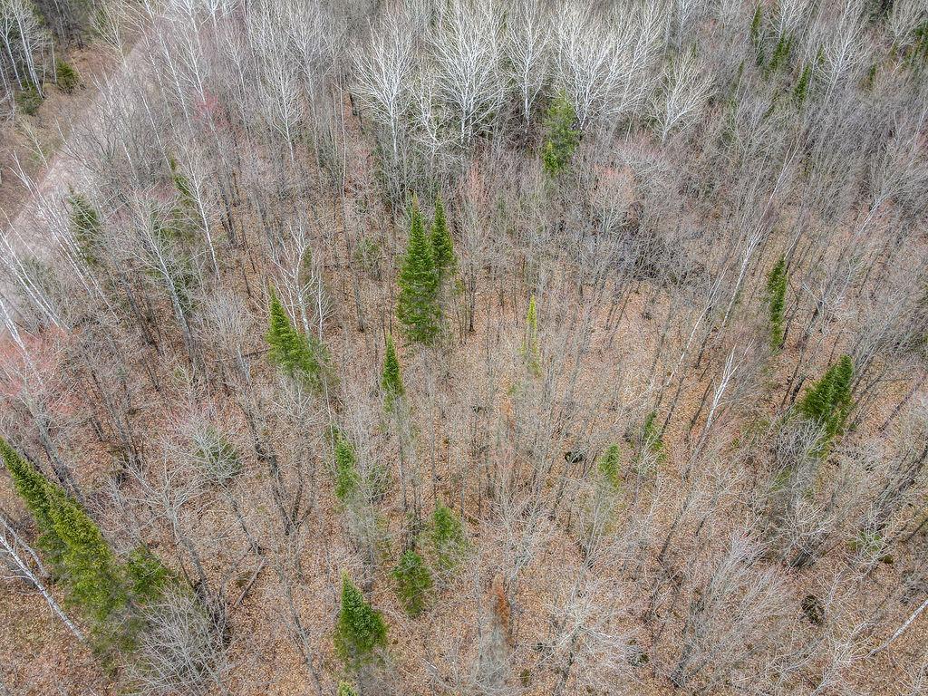 Tbd Stark Road Property Photo 9