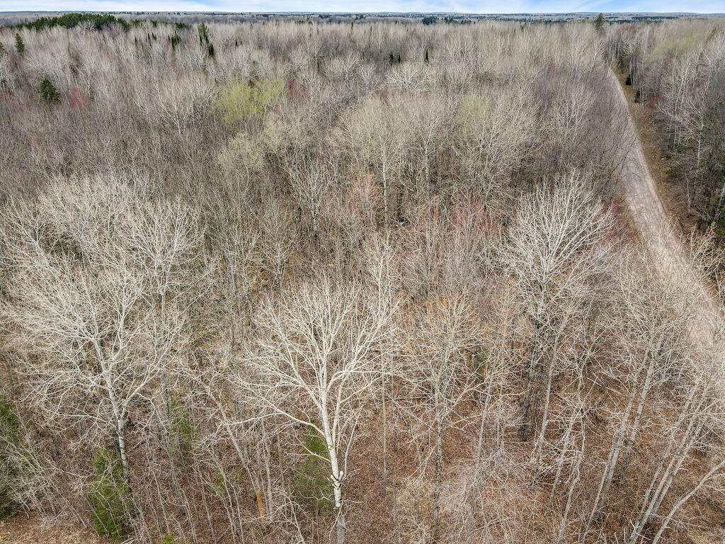 Tbd Stark Road Property Photo 10