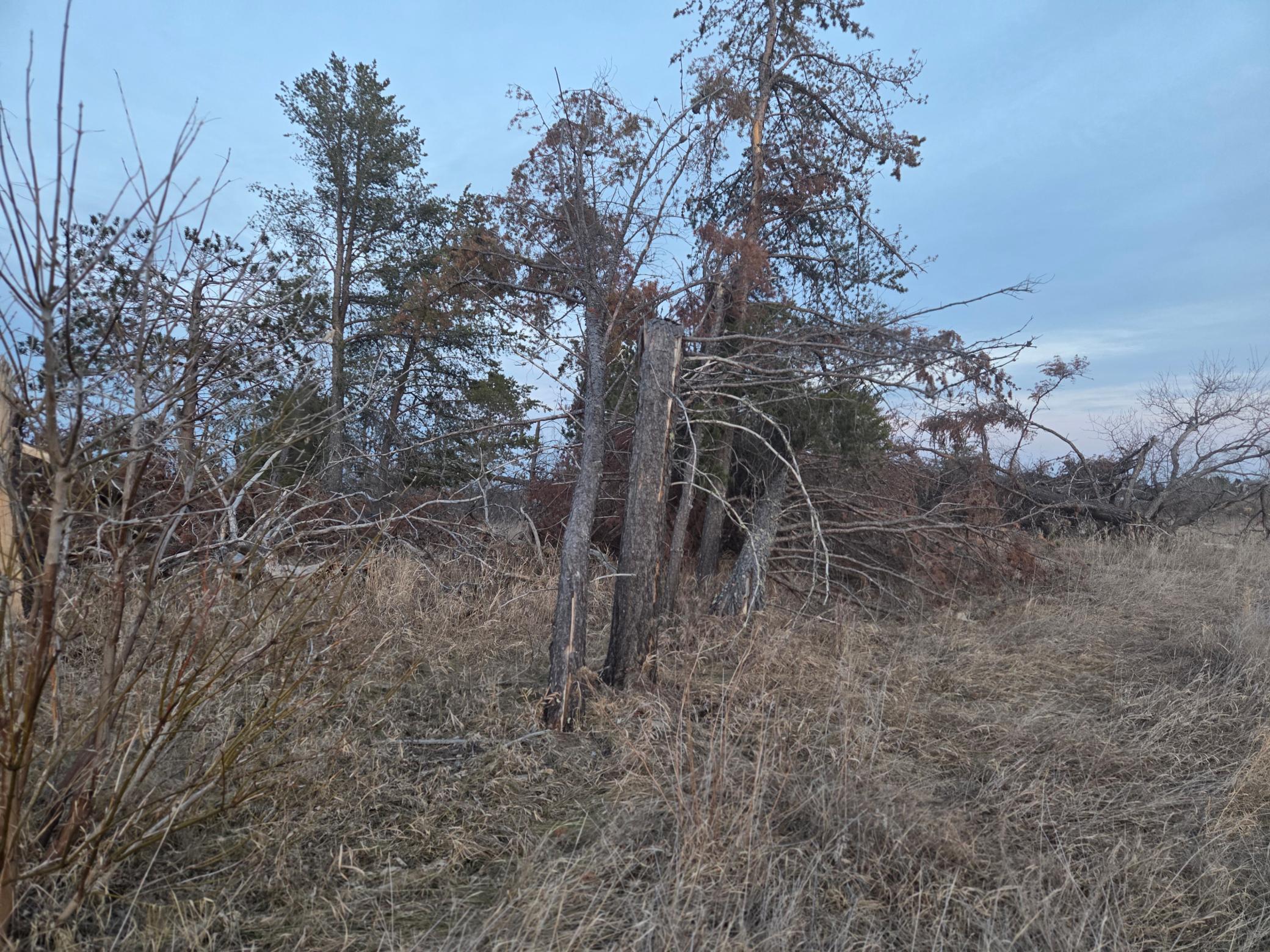 Tbd Lot 5 Beartooth Avenue Sw Property Photo 3