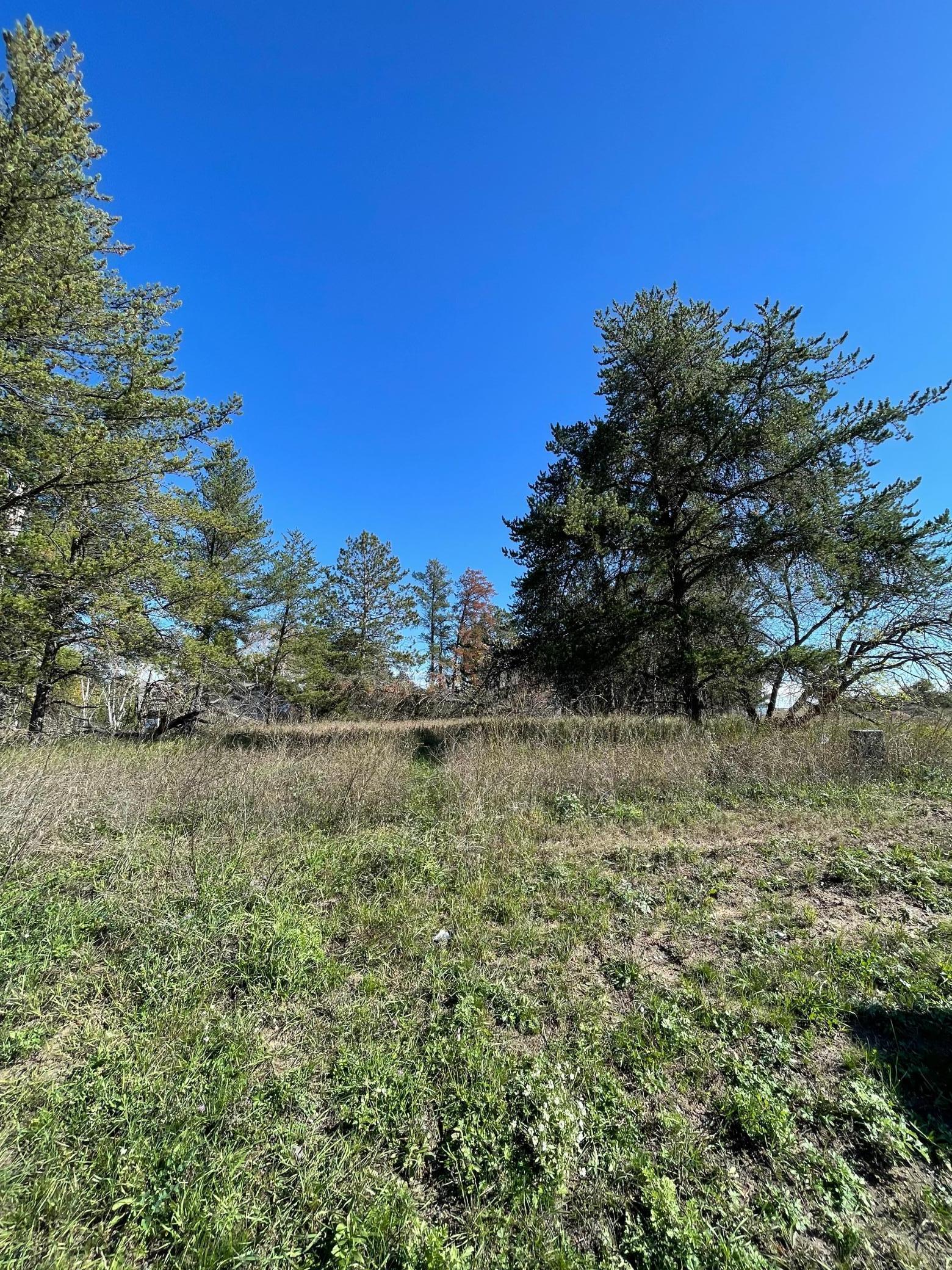 Tbd Lot 5 Beartooth Avenue Sw Property Photo 6