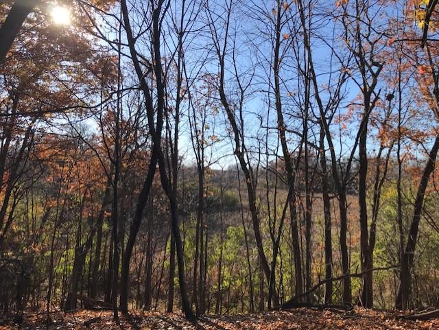 51xx Waterbury Road Property Photo 16