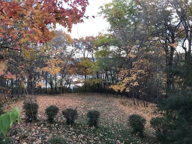 51xx Waterbury Road Property Photo 33