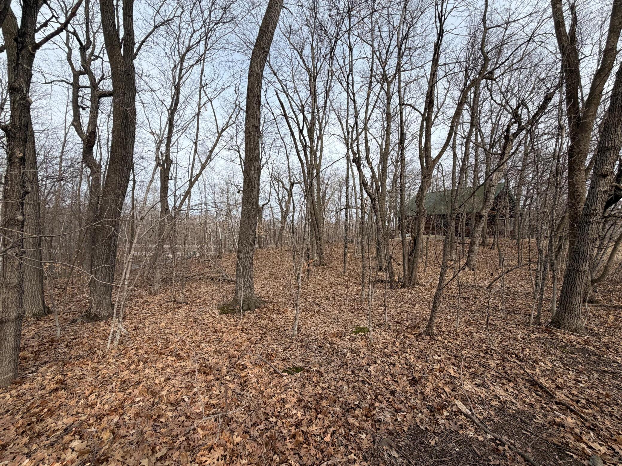 Tbd Short Putt Property Photo 12