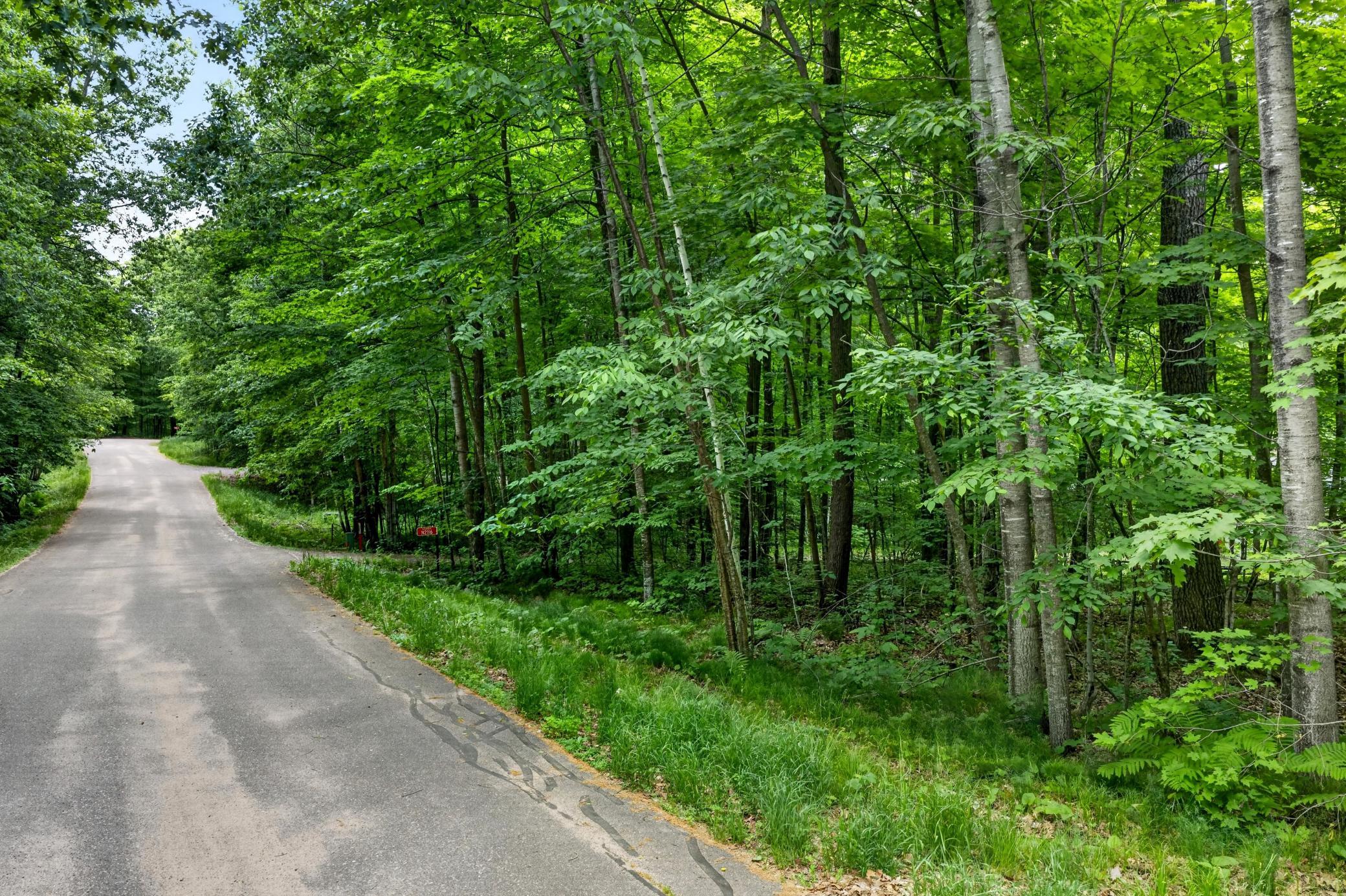 Tbd Ripley Spur Road Property Photo 6