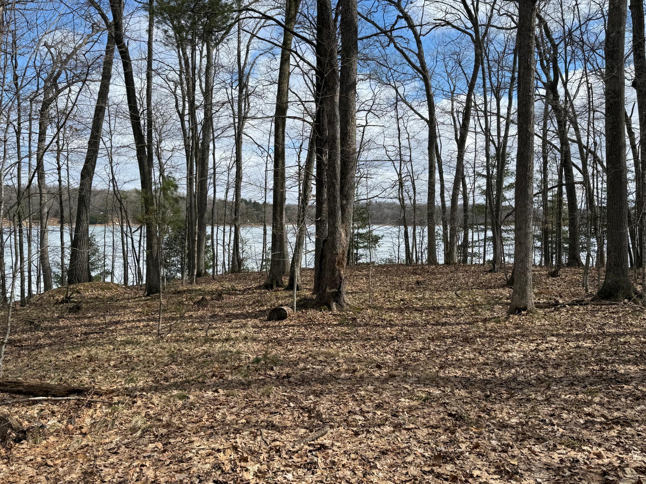 Tbd Ripley Spur Road Property Photo 14