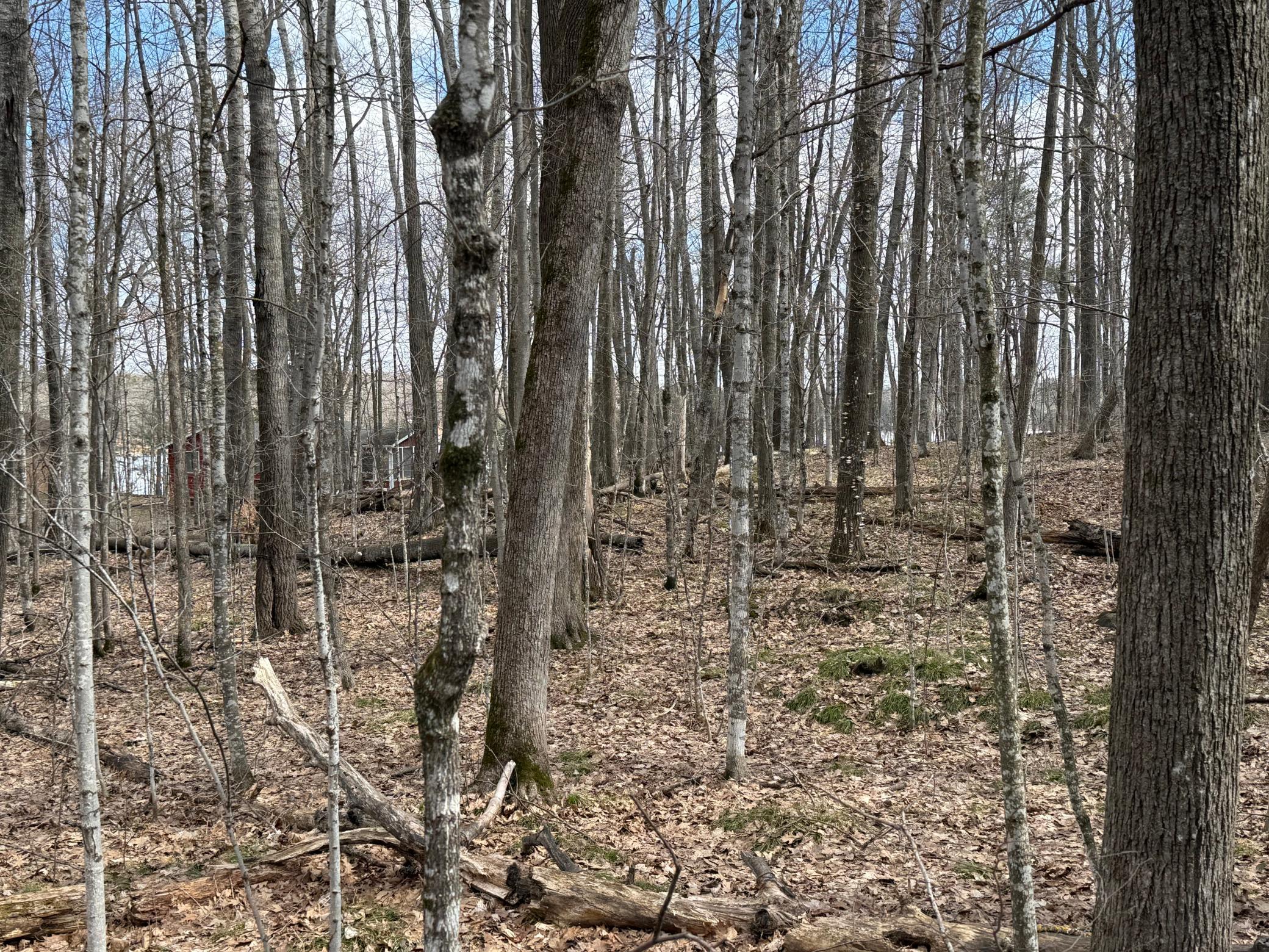 Tbd Ripley Spur Road Property Photo 19