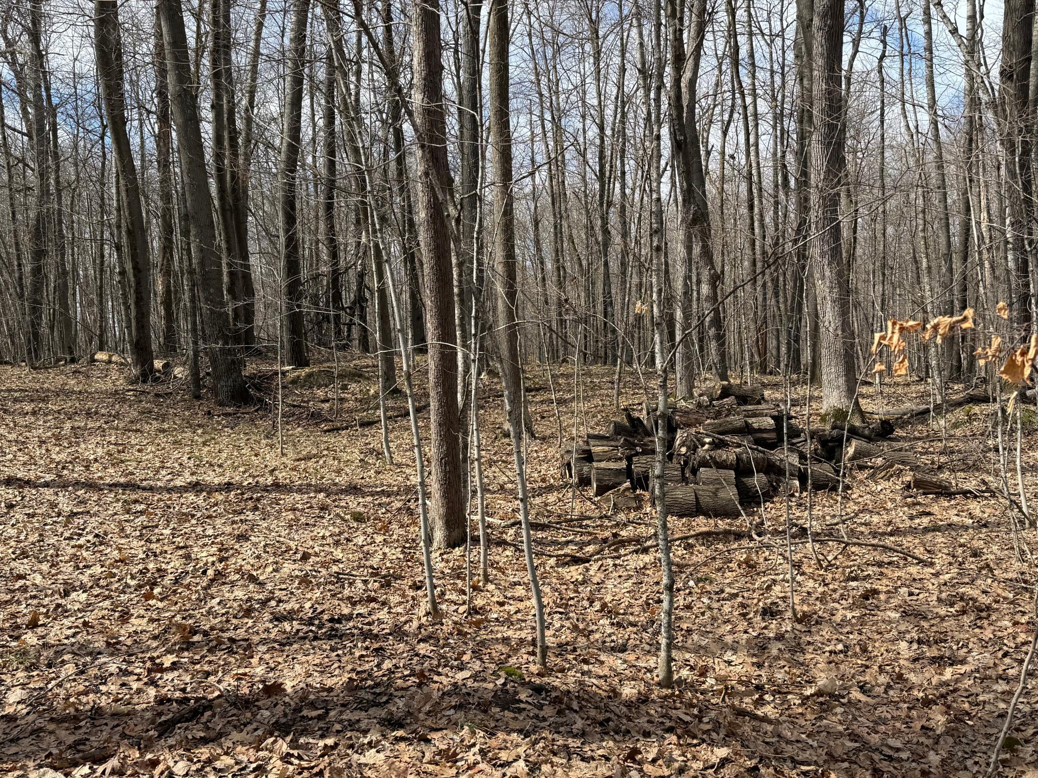 Tbd Ripley Spur Road Property Photo 25