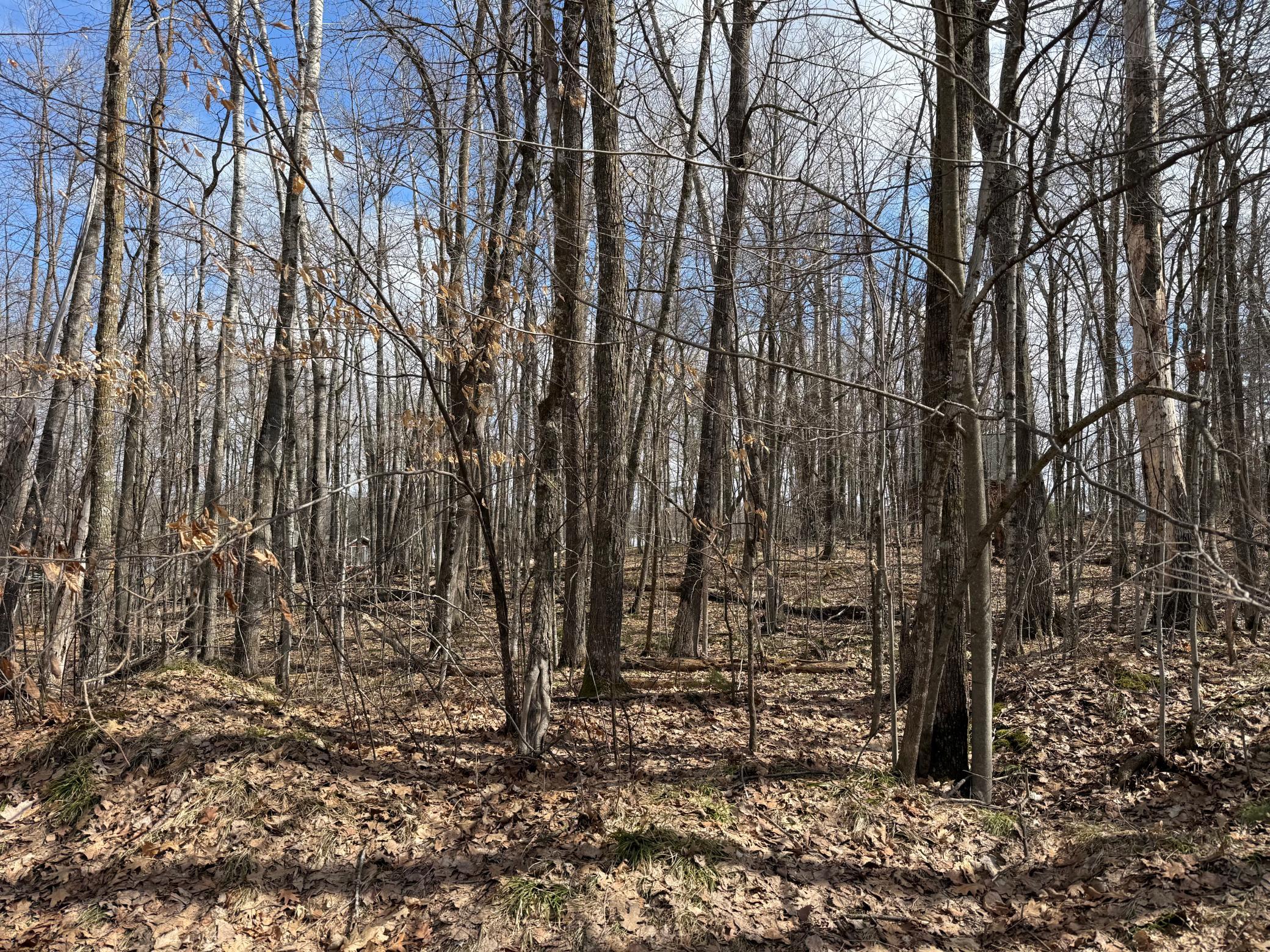 Tbd Ripley Spur Road Property Photo 27