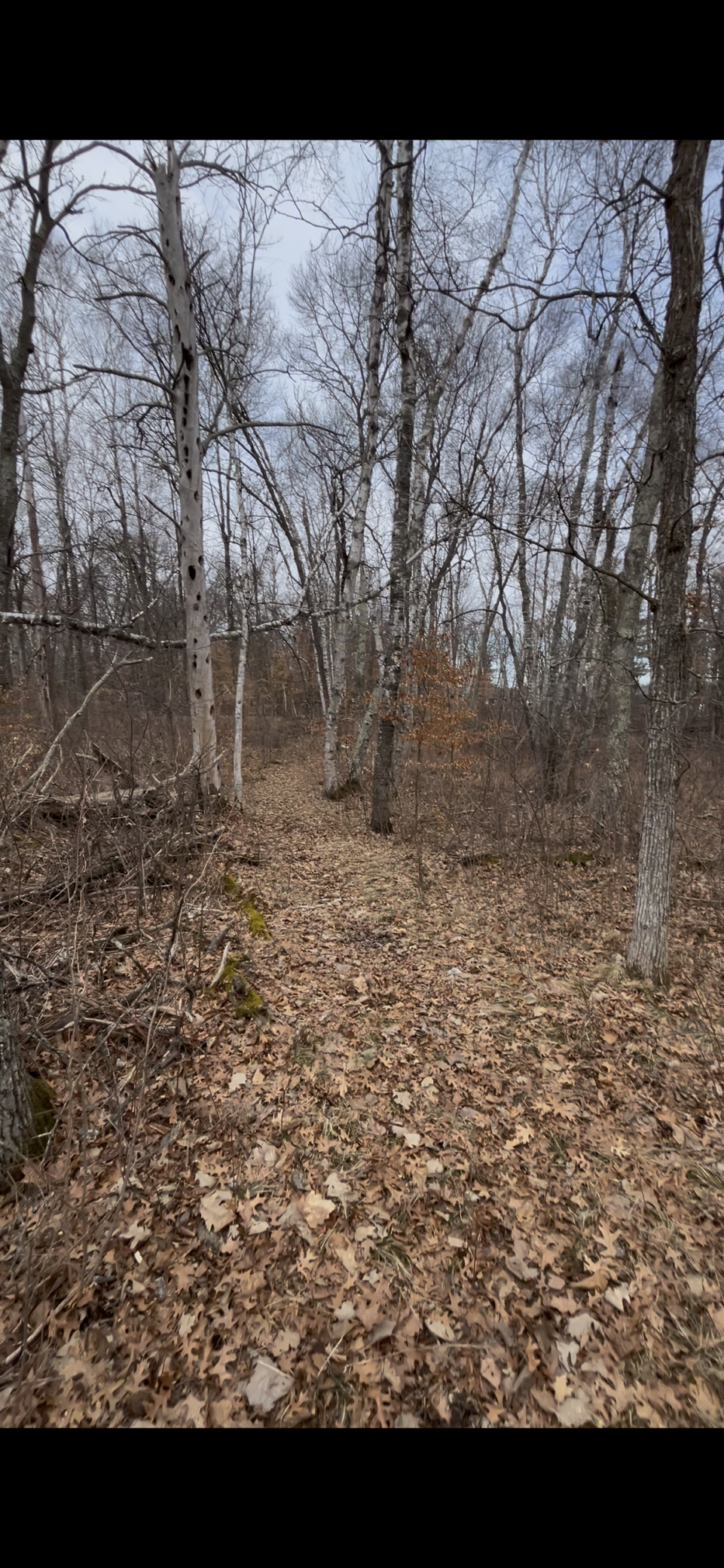 Tbd Big Pine Trail Property Photo 1