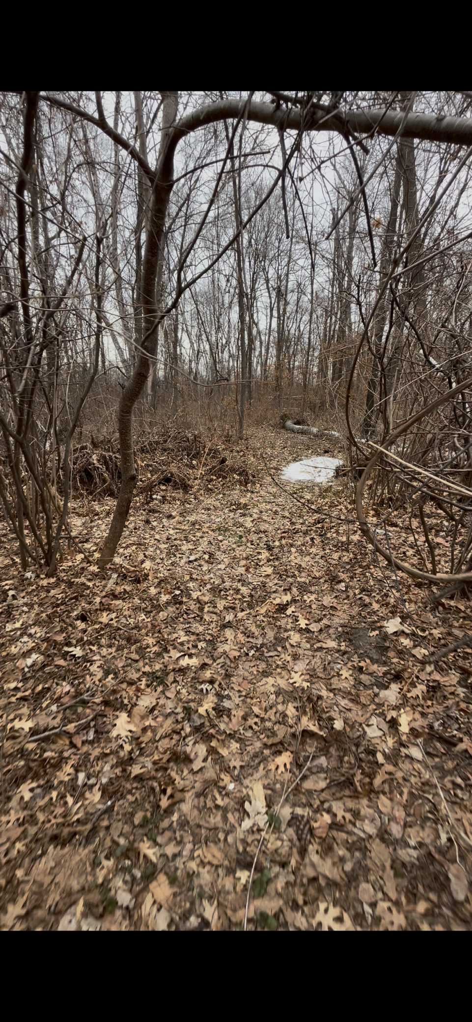 Tbd Big Pine Trail Property Photo 4