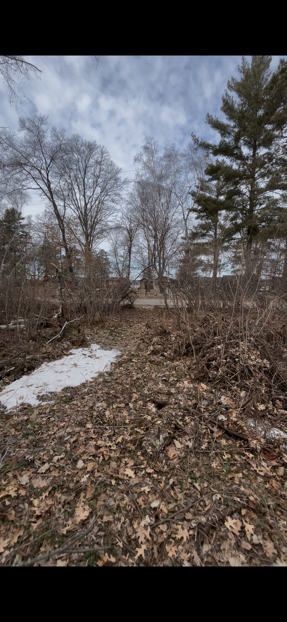 Tbd Big Pine Trail Property Photo 5