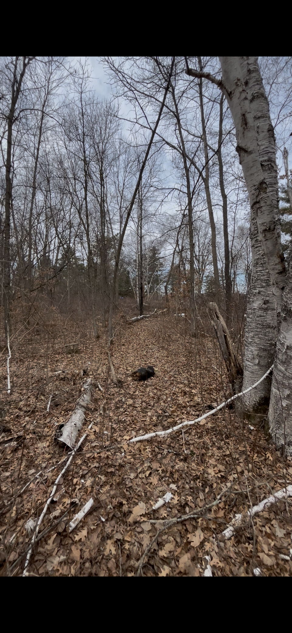 Tbd Big Pine Trail Property Photo 6