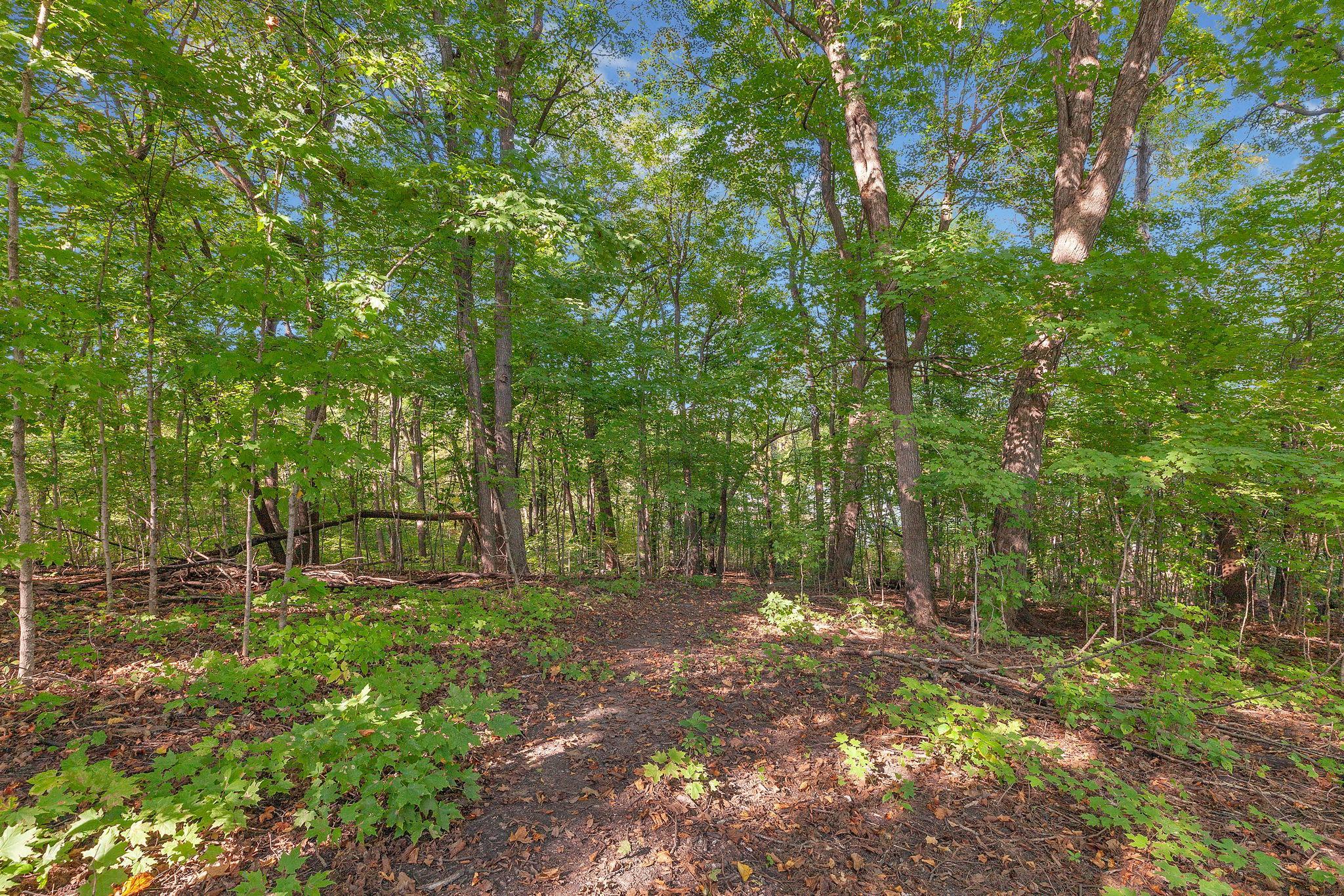 12814 Juniper Road Property Photo 3
