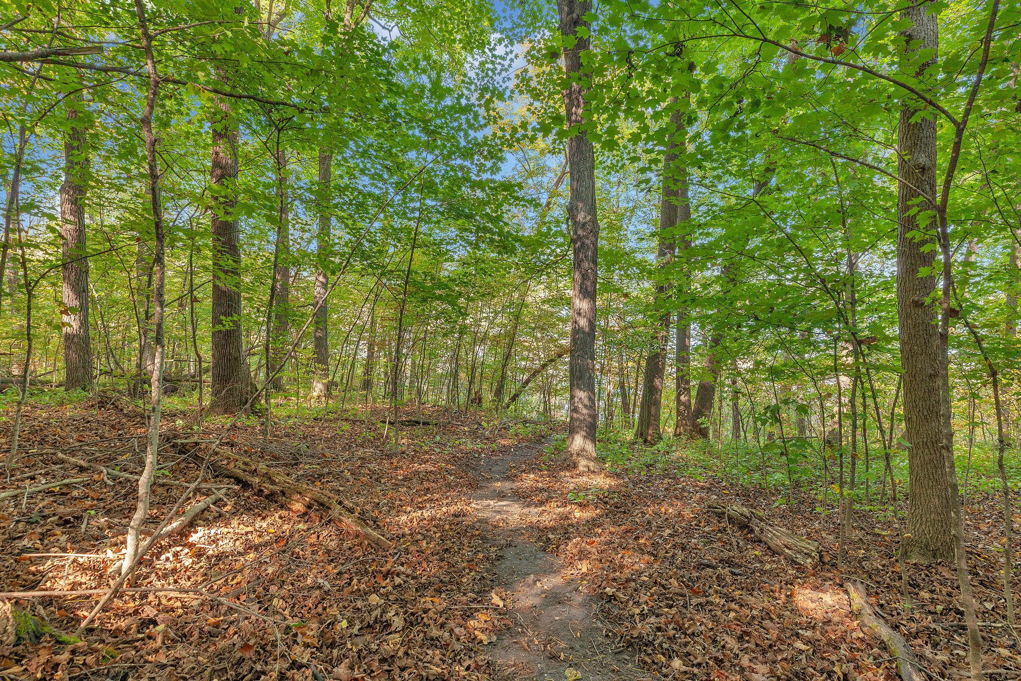 12814 Juniper Road Property Photo 4