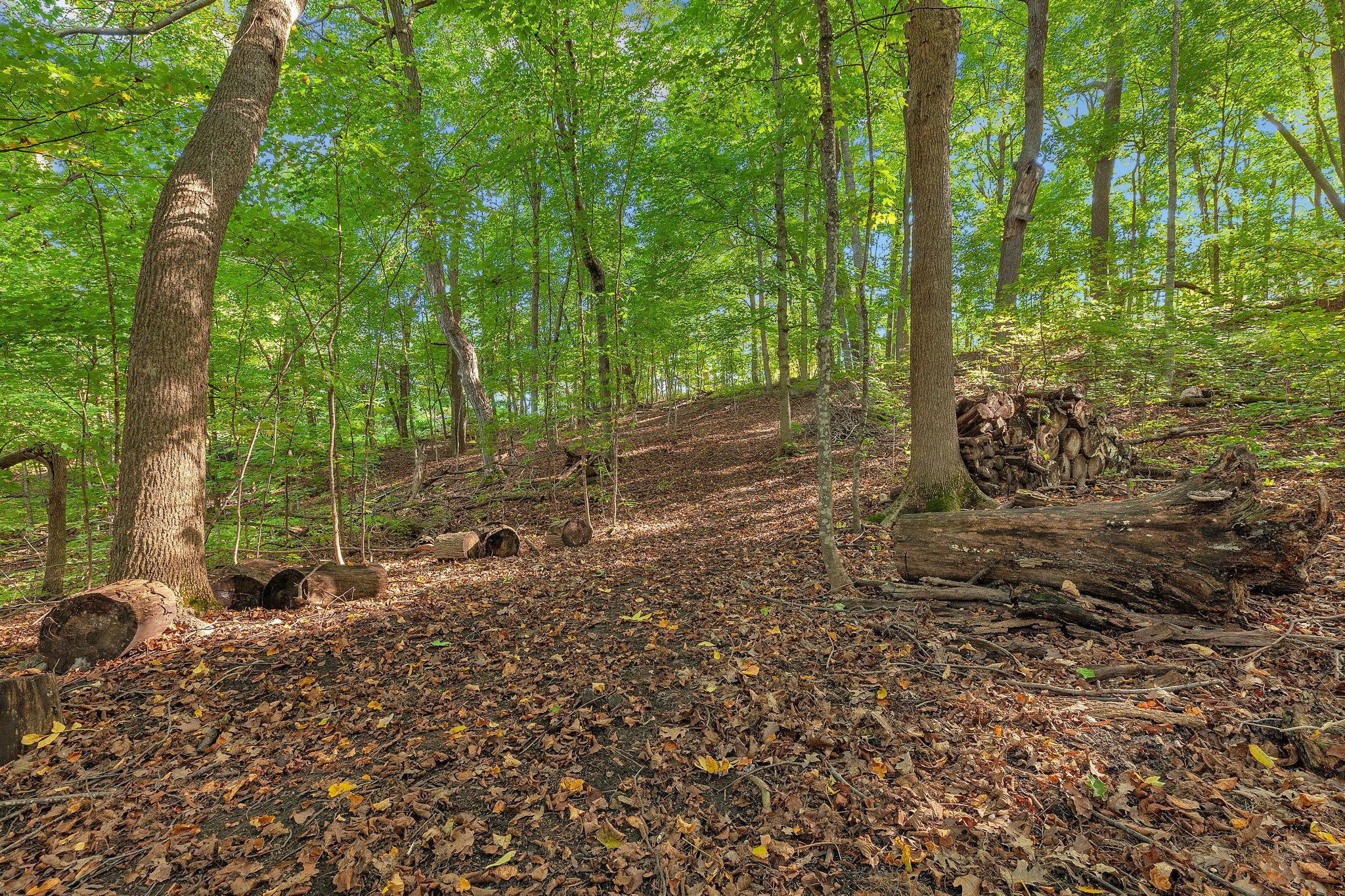 12814 Juniper Road Property Photo 26