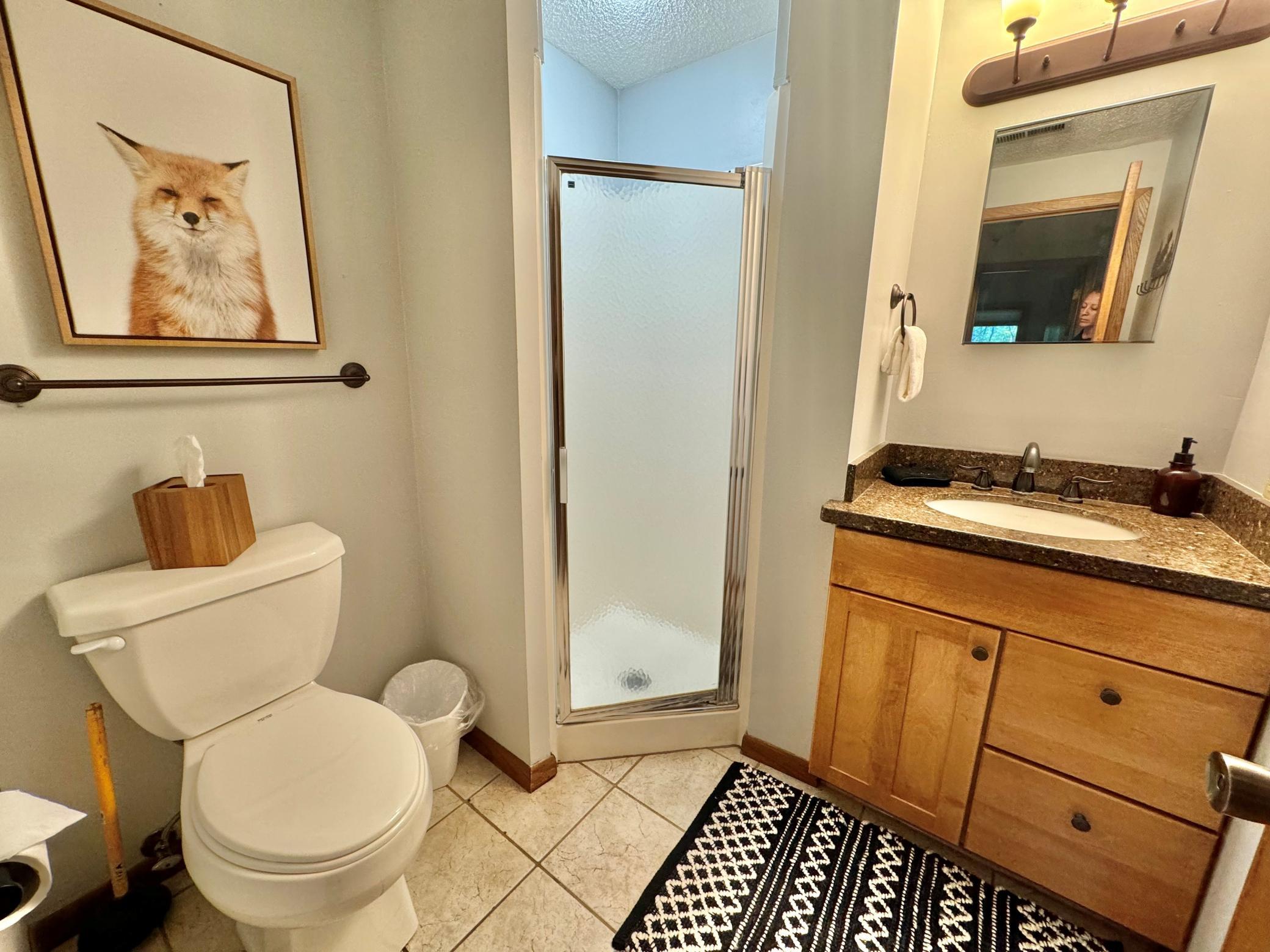 511 Moose Mountain Drive Property Photo 18