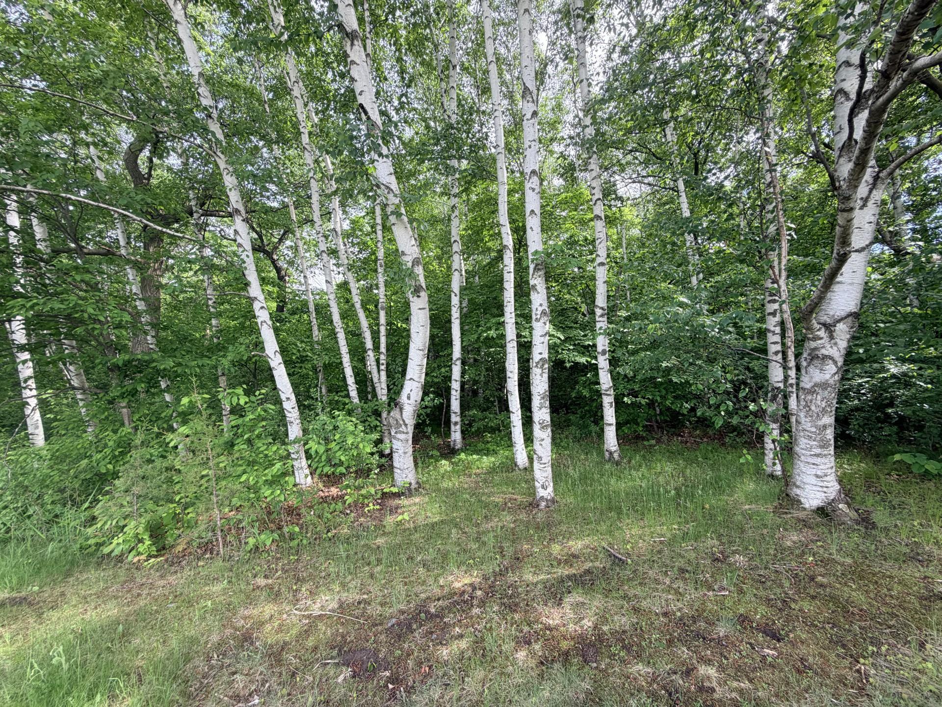 21781 Trestle Ridge Road Property Photo 2