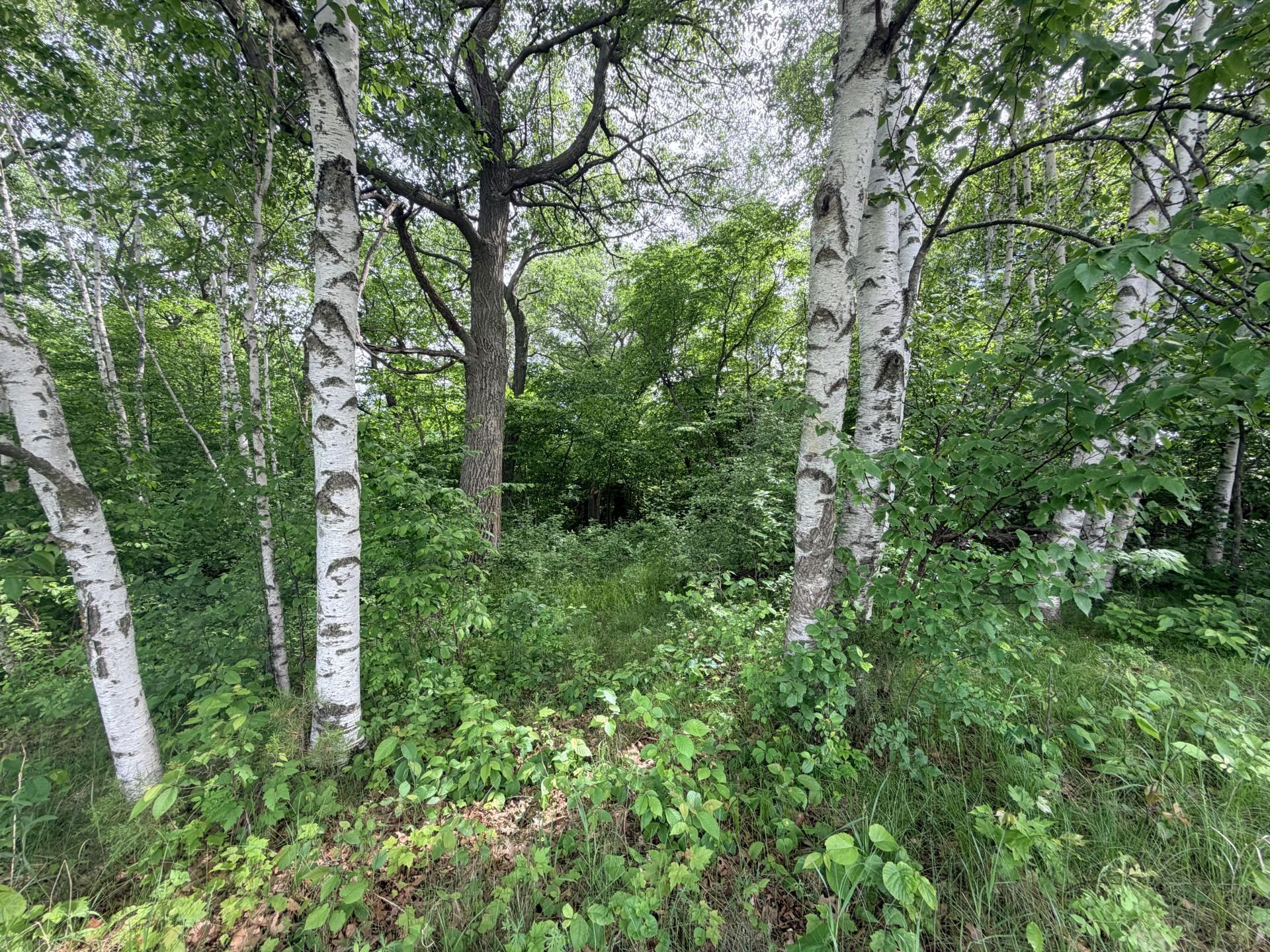 21781 Trestle Ridge Road Property Photo 3