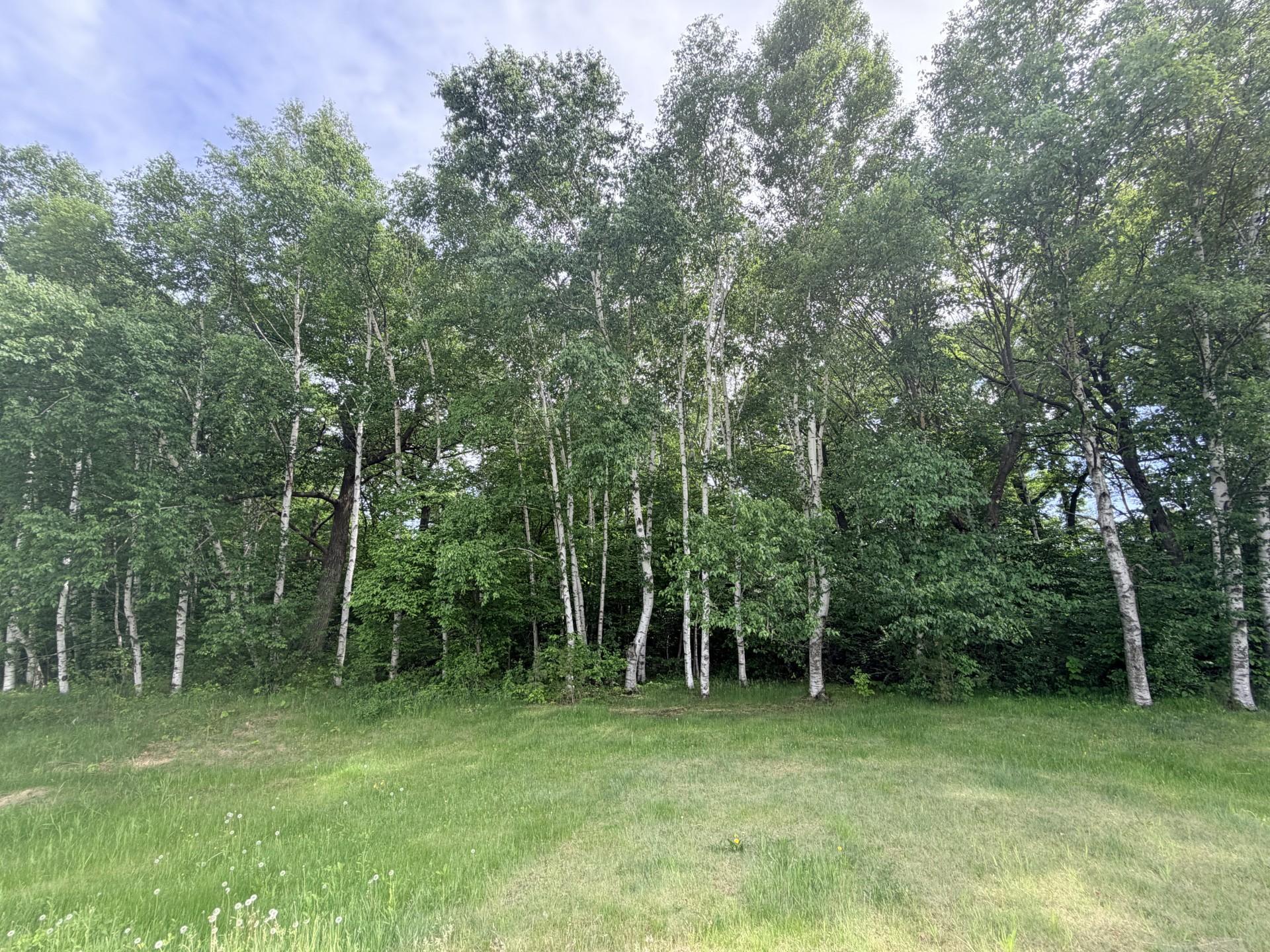 21781 Trestle Ridge Road Property Photo 5