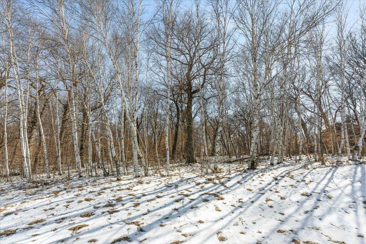 21781 Trestle Ridge Road Property Photo 9