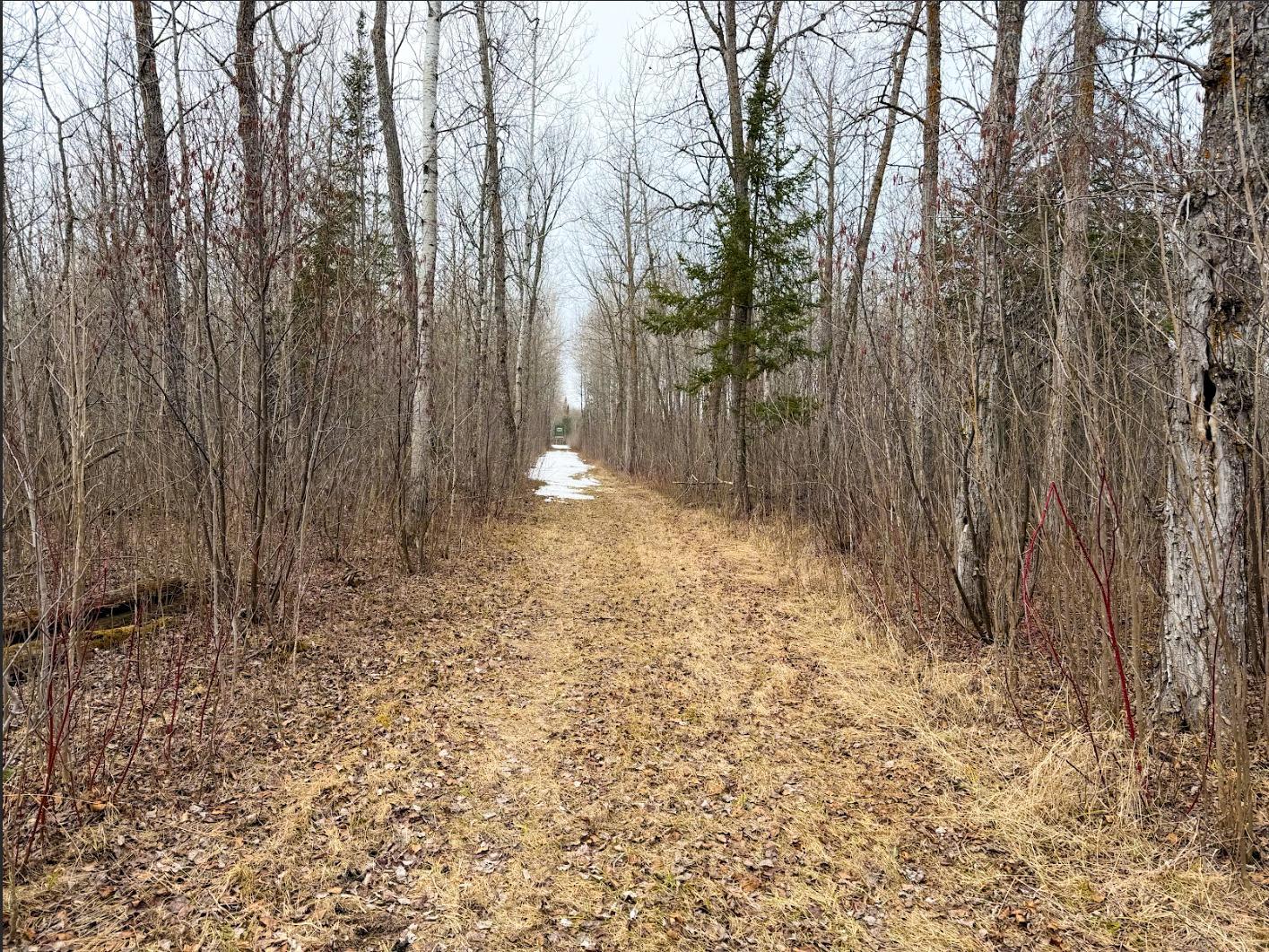 28465 Highway 71 Ne Property Photo 48