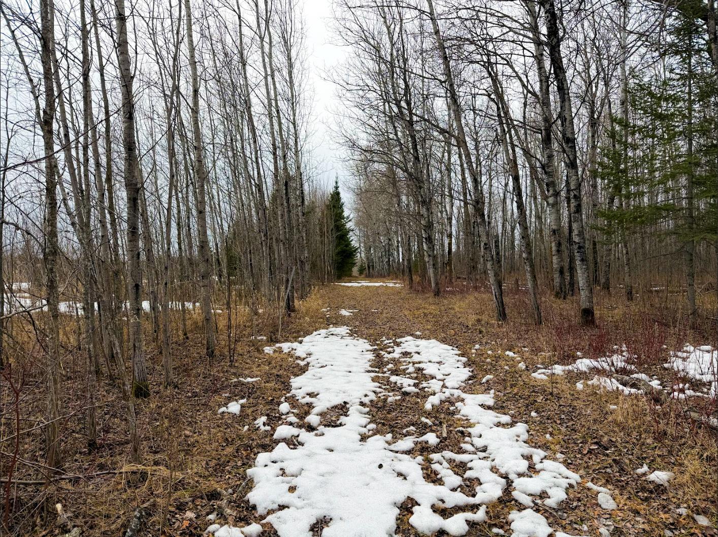 28465 Highway 71 Ne Property Photo 49