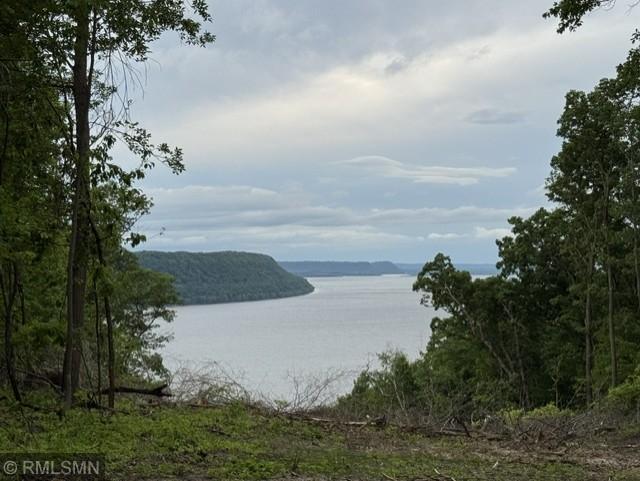 N3463 E Bluff Lane Property Photo 4