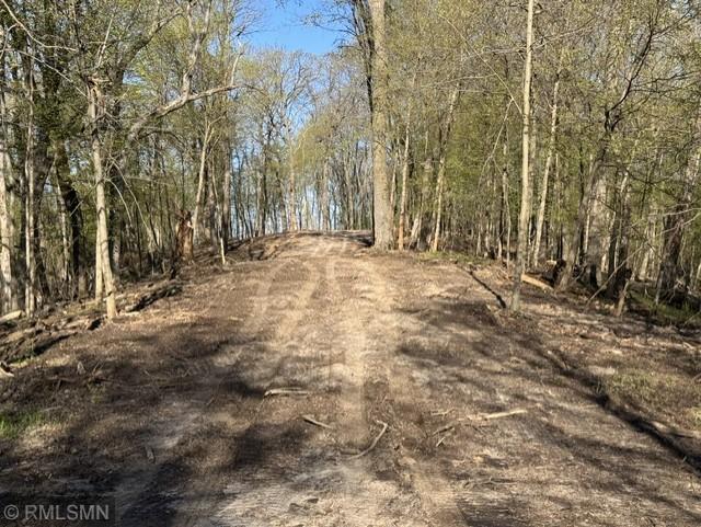 N3463 E Bluff Lane Property Photo 5