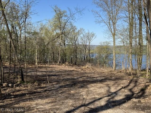N3463 E Bluff Lane Property Photo 6
