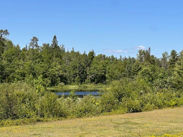 1383 Kelly Trail Property Photo 23