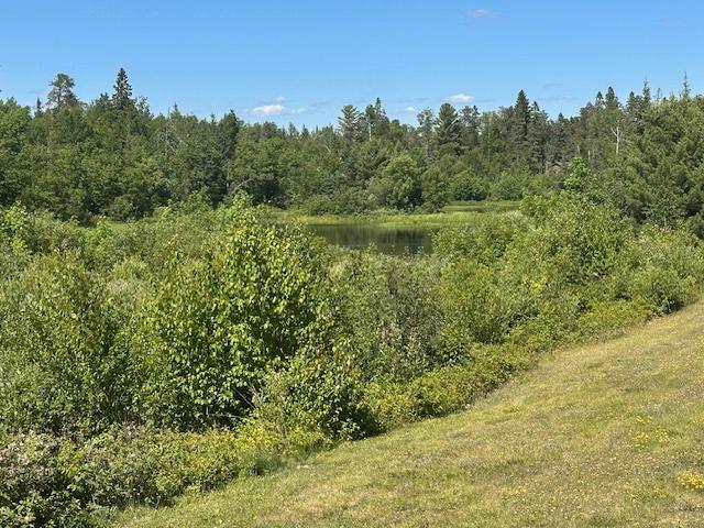 1383 Kelly Trail Property Photo 38