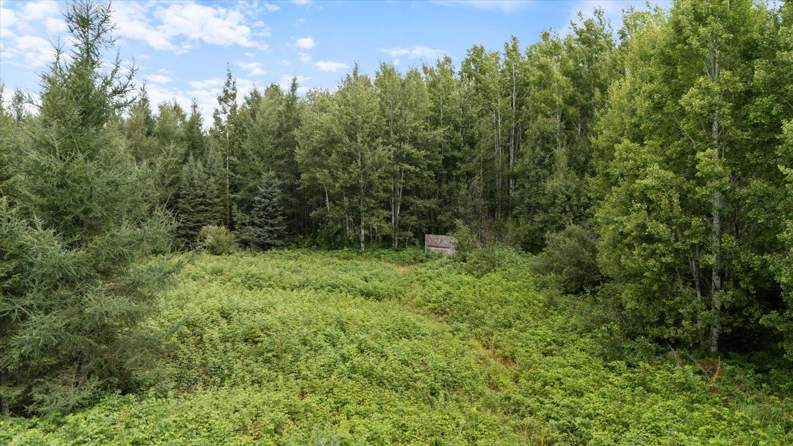 9401 Samuelson Road Property Photo 10
