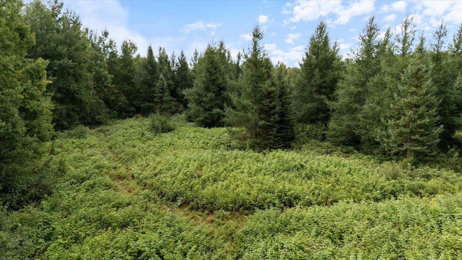 9401 Samuelson Road Property Photo 12