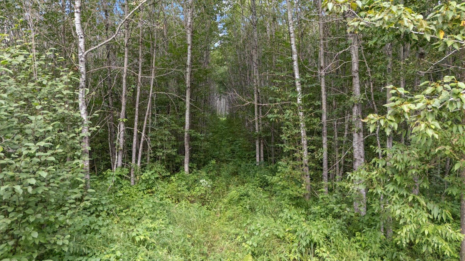 9401 Samuelson Road Property Photo 17