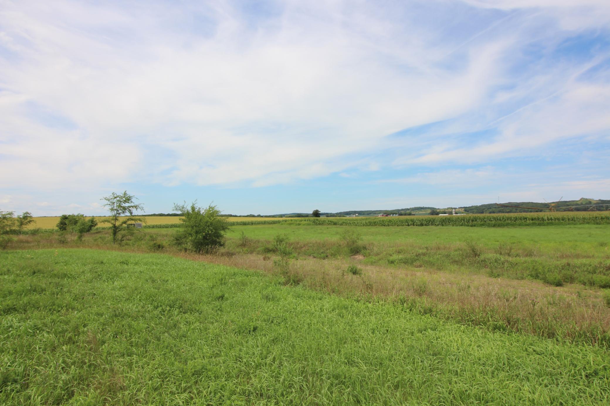 Tbd Ridgeview Street Property Photo 6