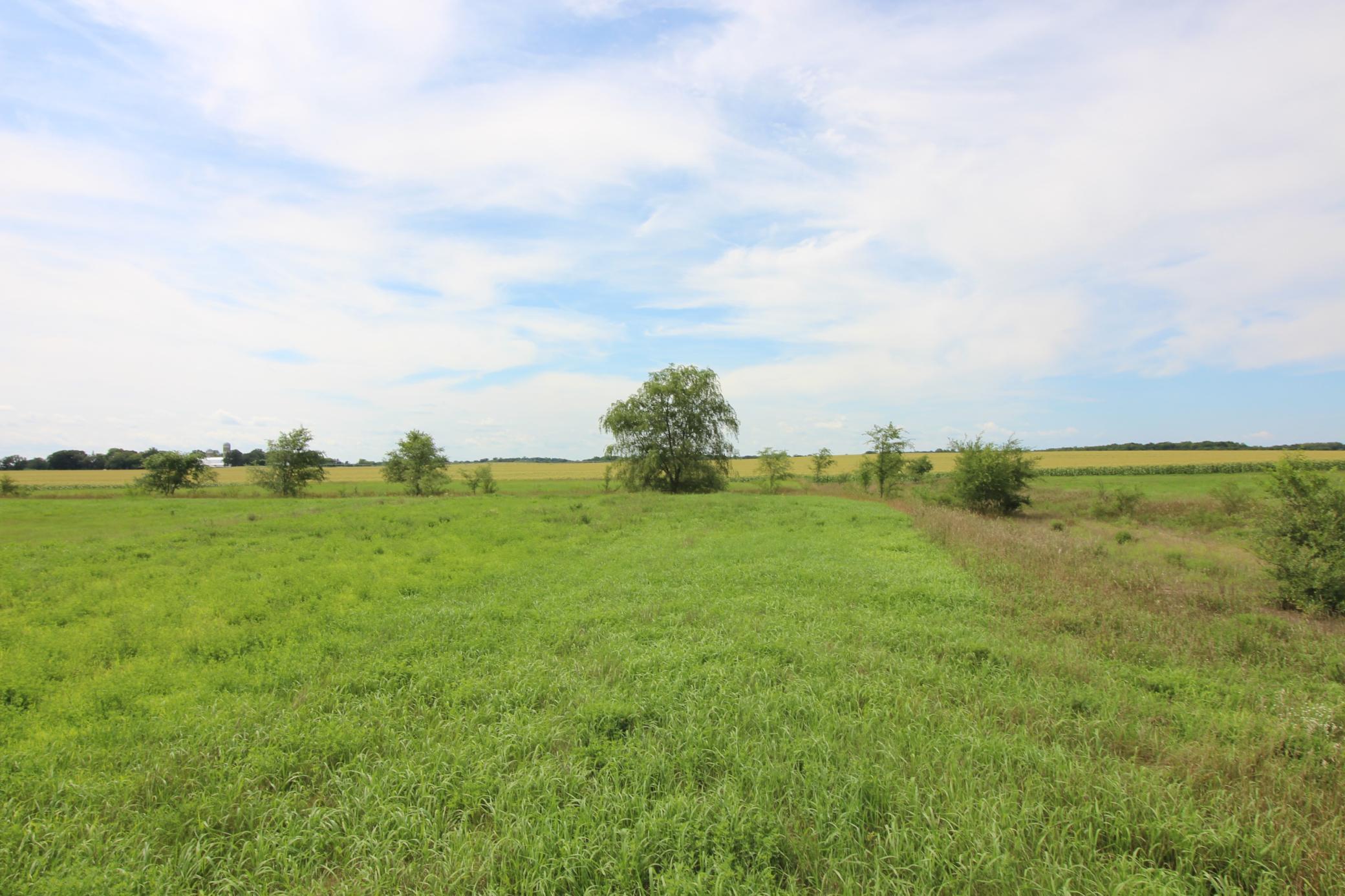 Tbd Ridgeview Street Property Photo 11