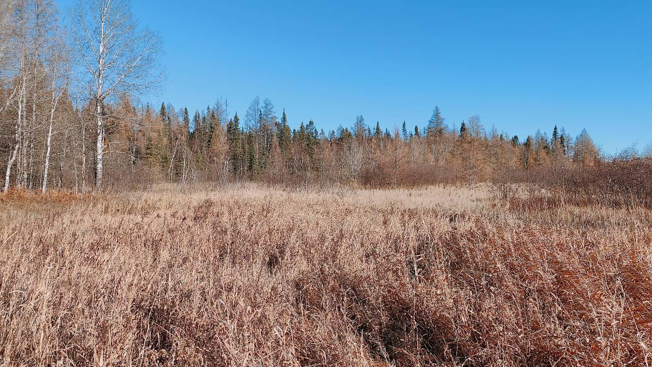 10478 Leander Road Property Photo 26
