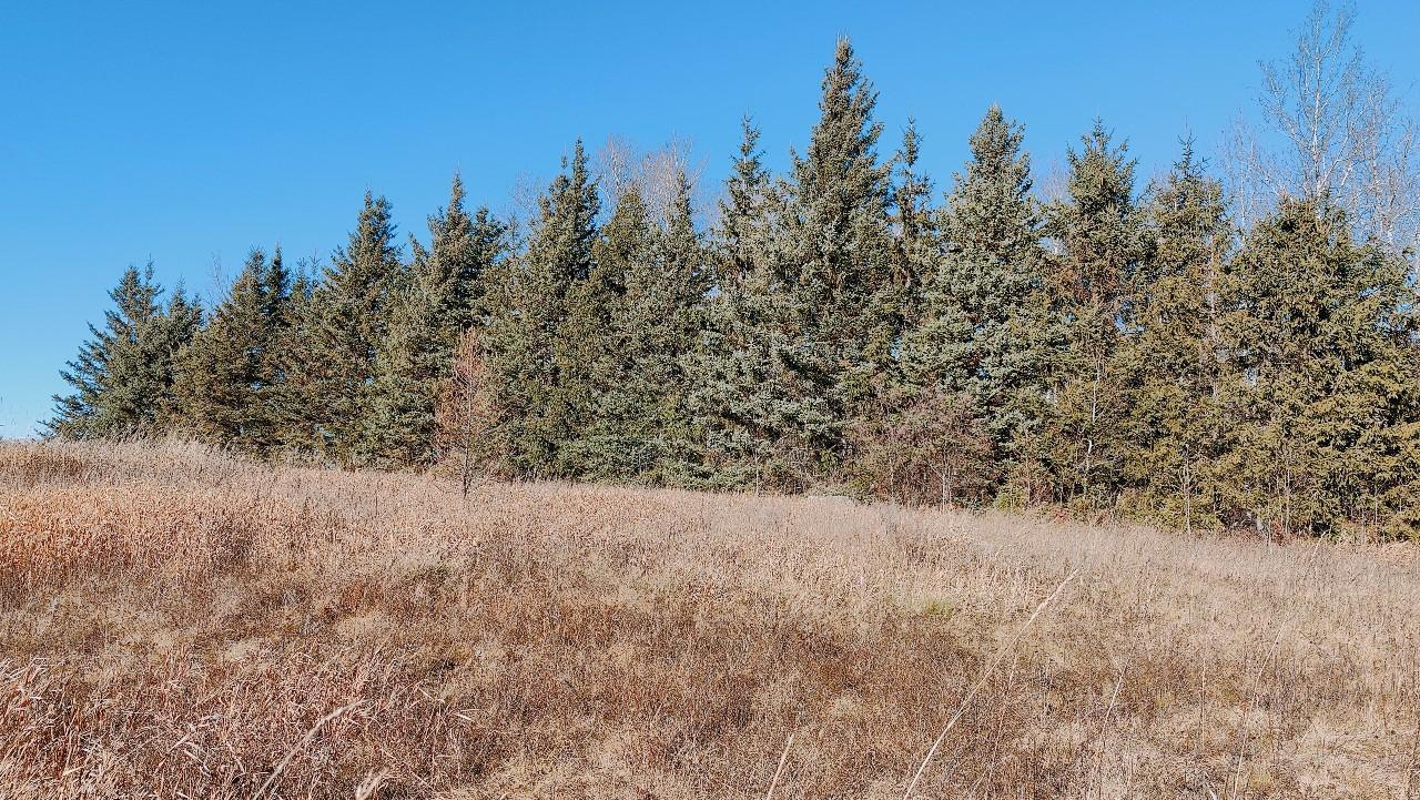 10478 Leander Road Property Photo 27