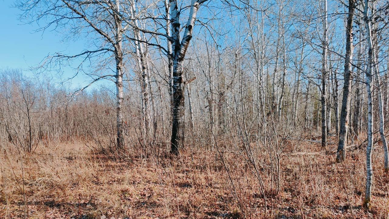 10478 Leander Road Property Photo 28