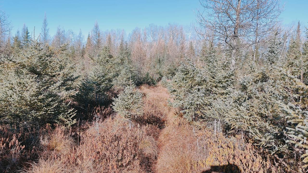 10478 Leander Road Property Photo 30