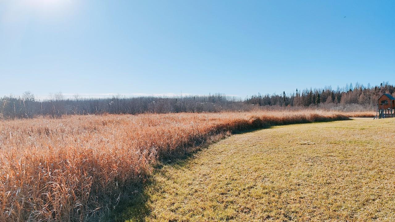 10478 Leander Road Property Photo 32