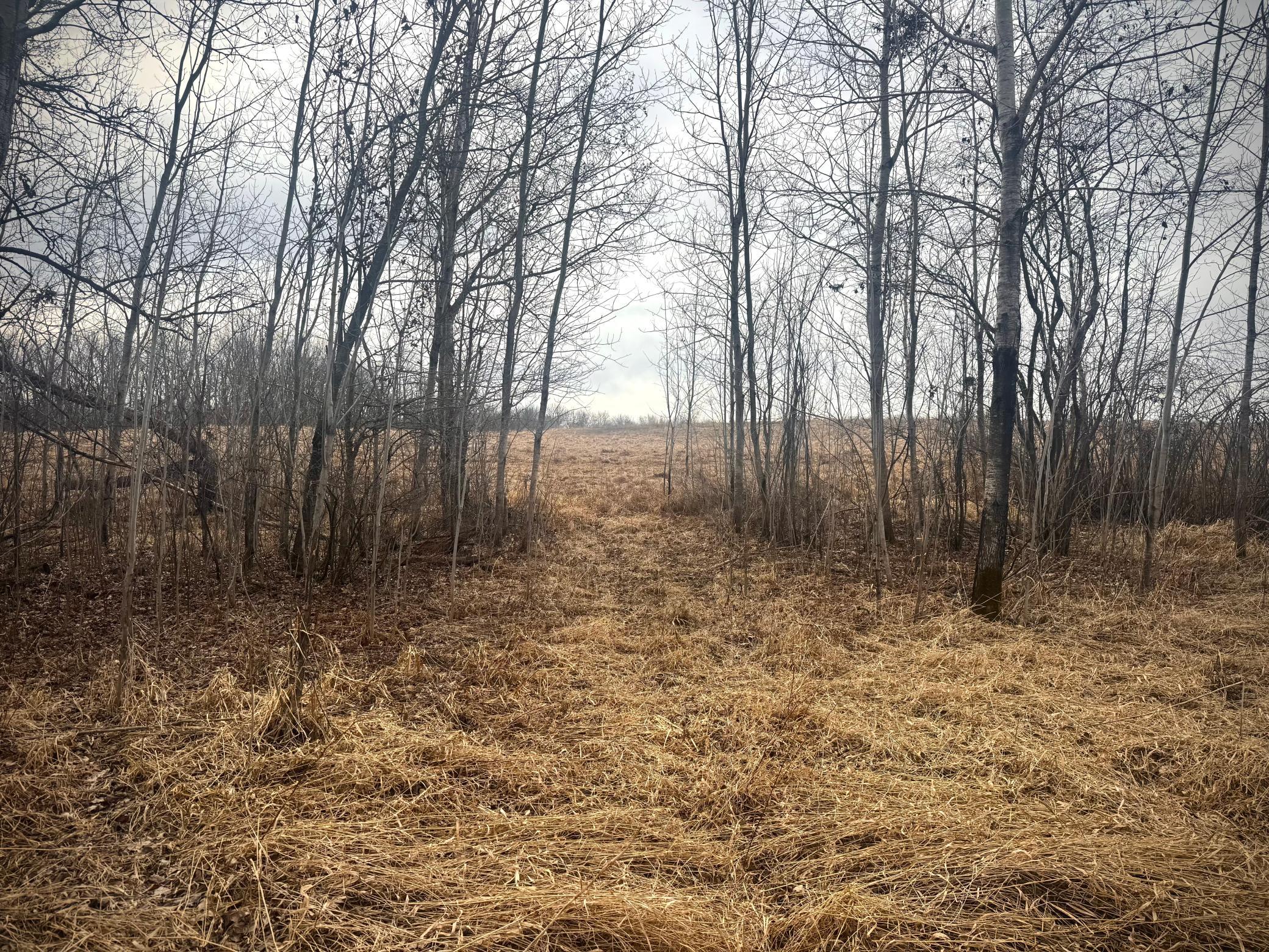 2022 Dixon Line Road Property Photo 6