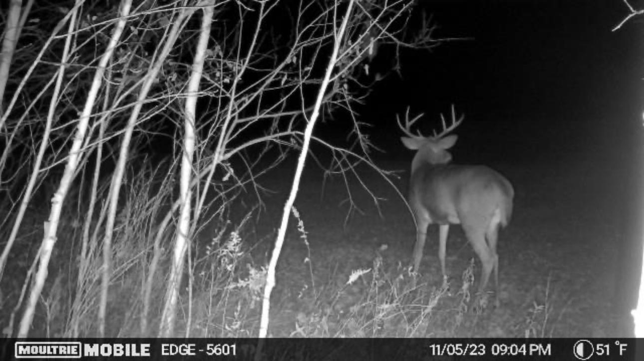 2022 Dixon Line Road Property Photo 7