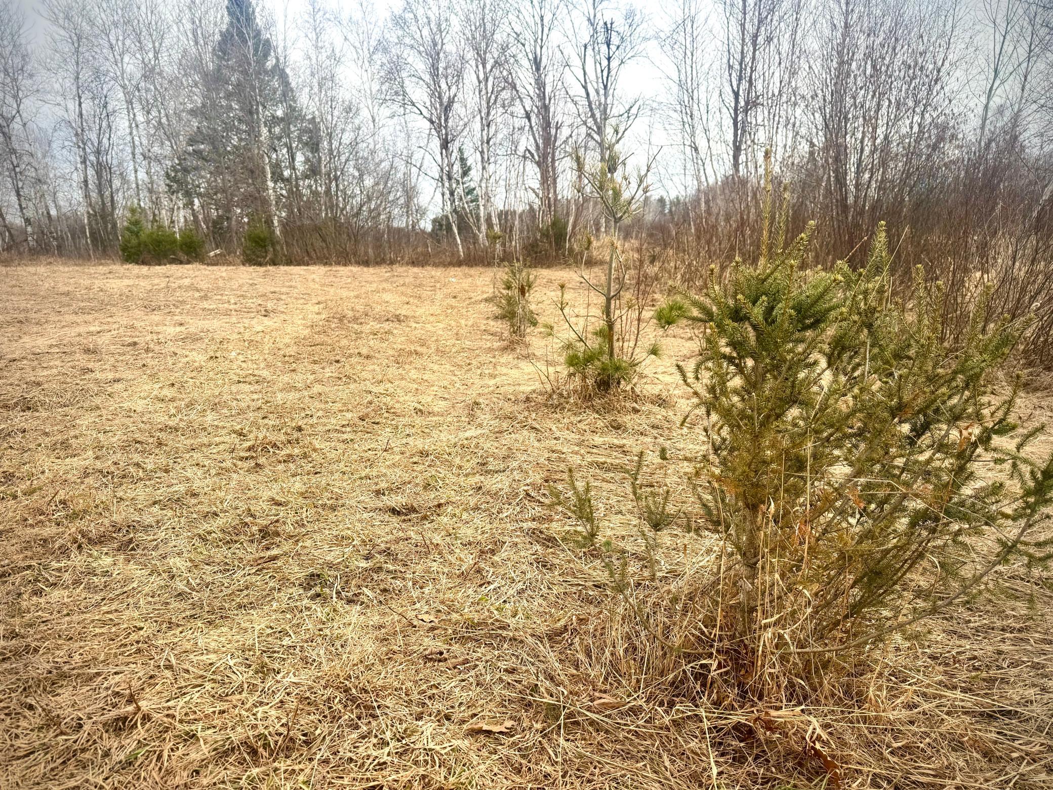 2022 Dixon Line Road Property Photo 8