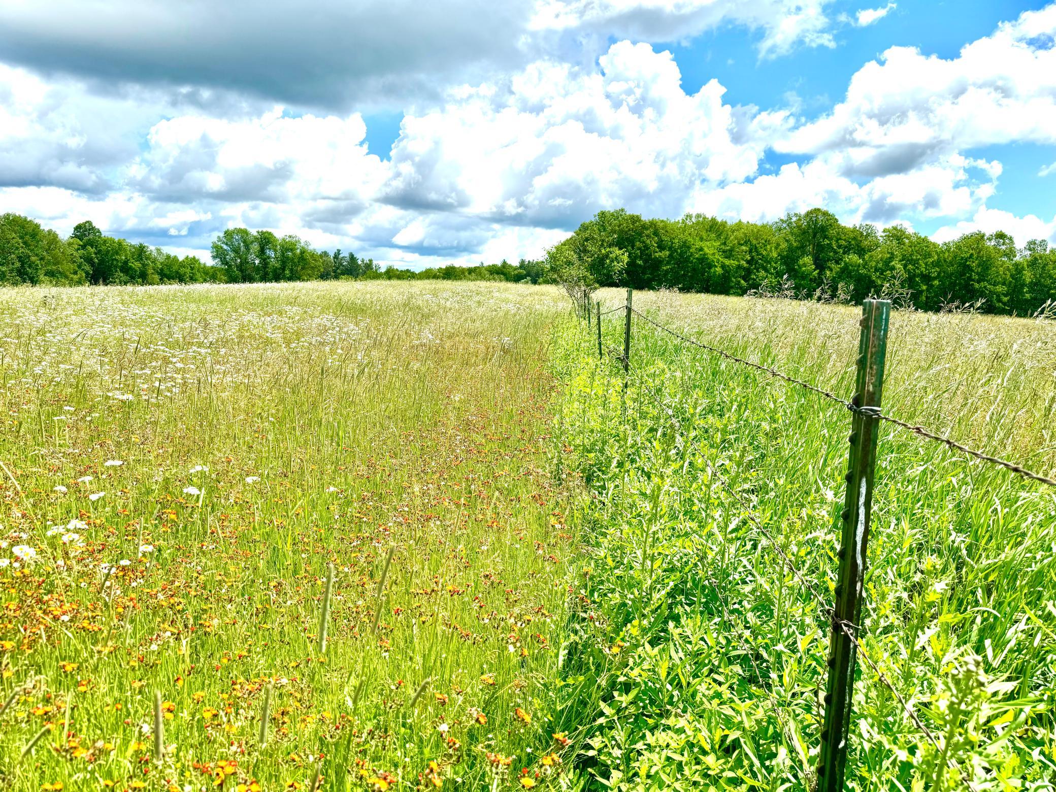 2022 Dixon Line Road Property Photo 10