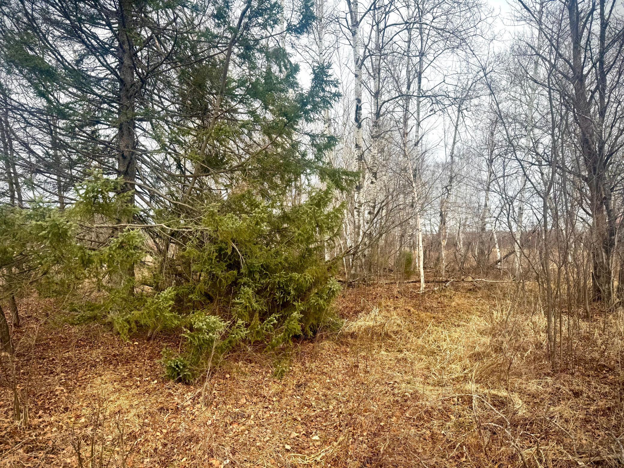 2022 Dixon Line Road Property Photo 11