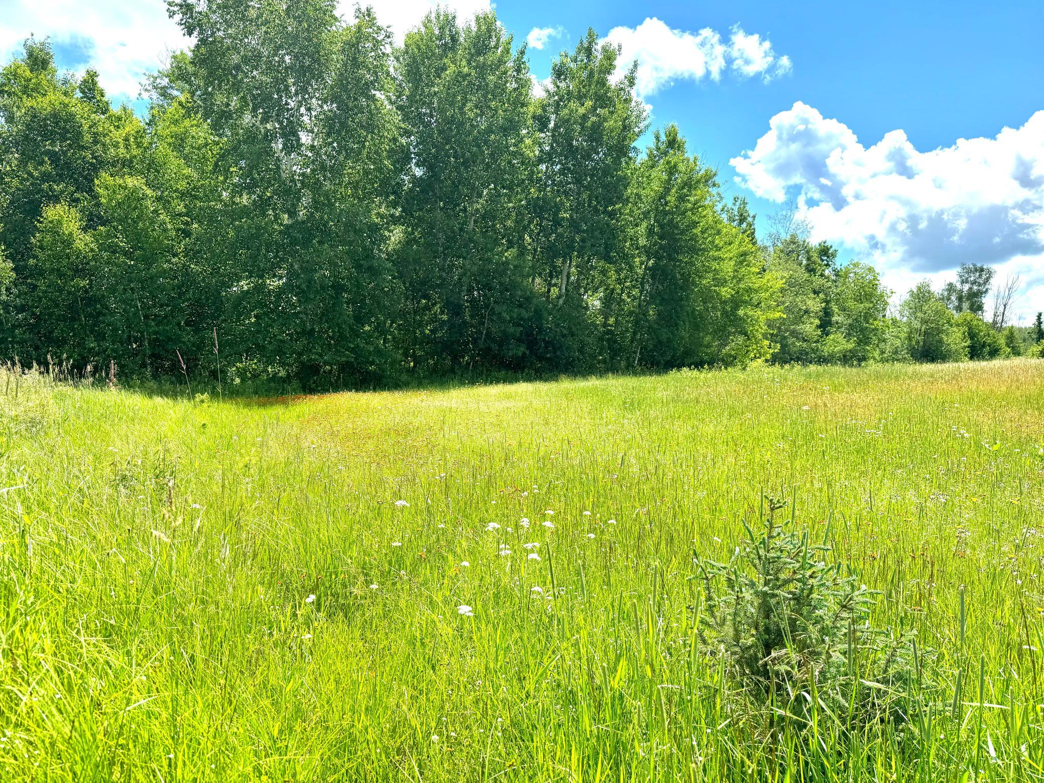 2022 Dixon Line Road Property Photo 17