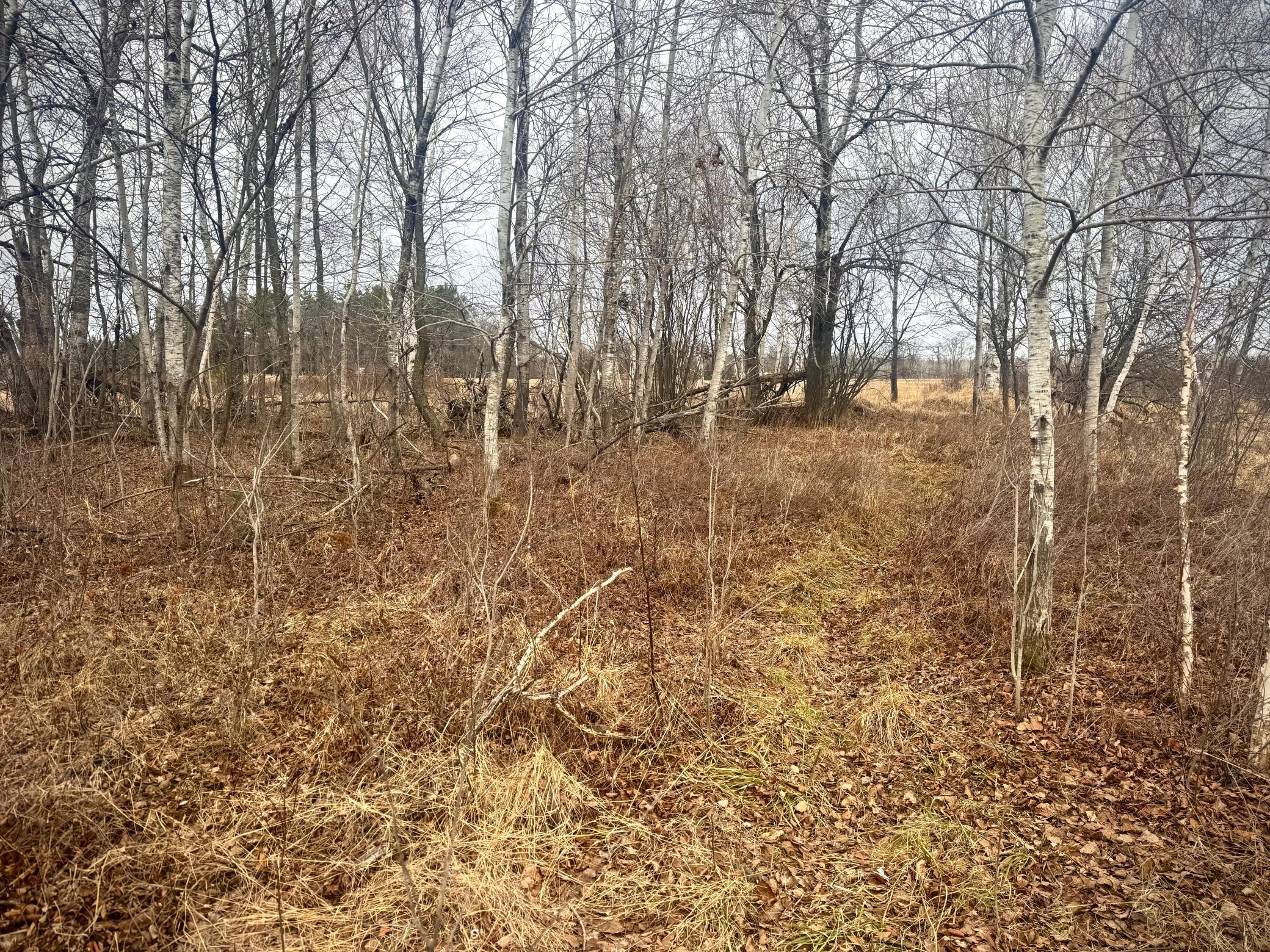 2022 Dixon Line Road Property Photo 18