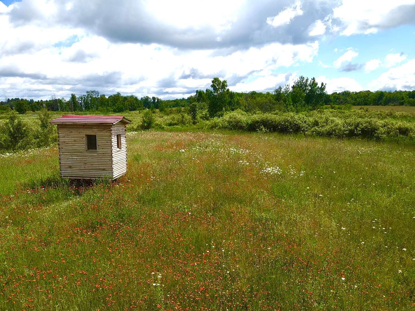 2022 Dixon Line Road Property Photo 19