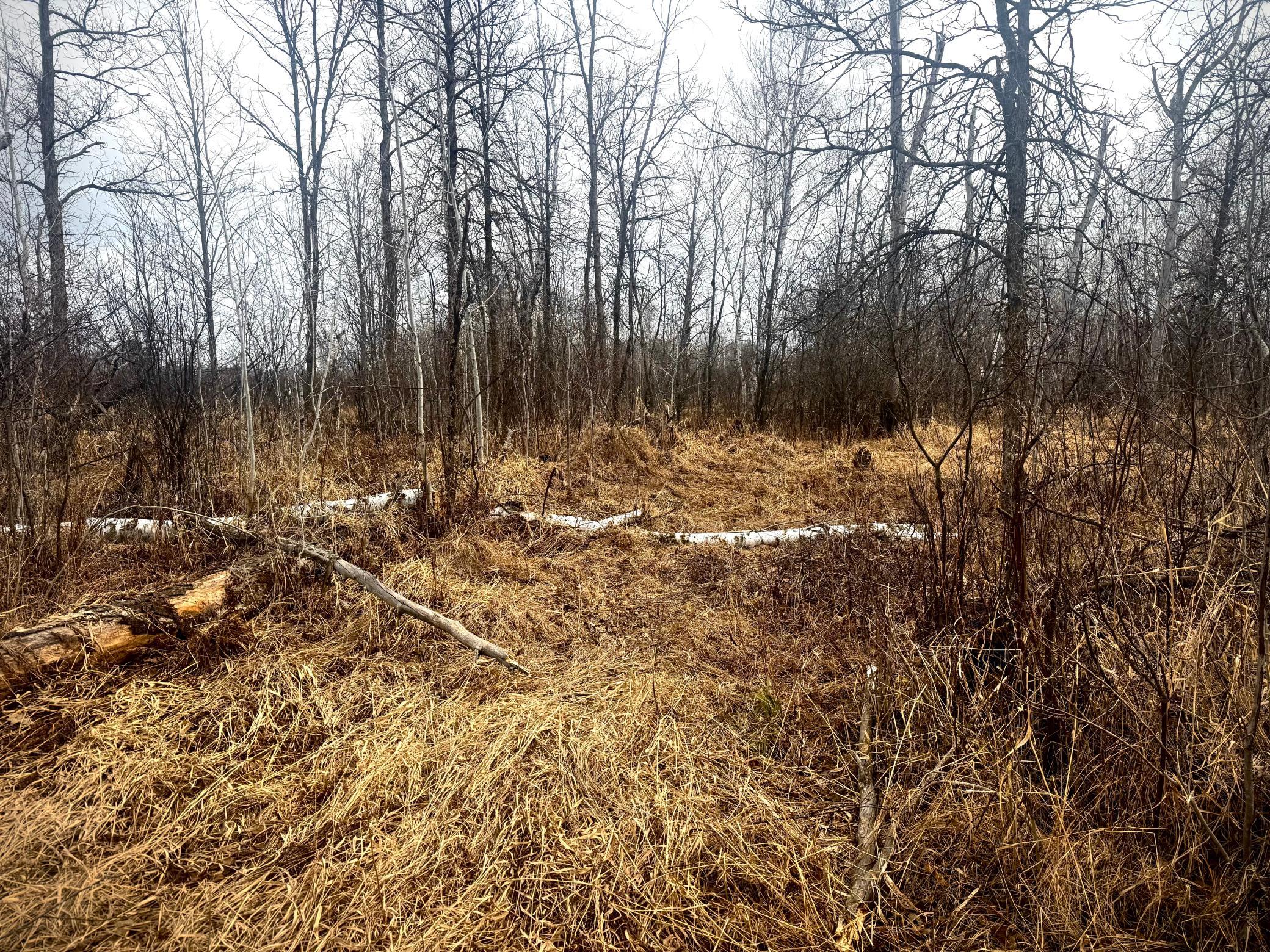 2022 Dixon Line Road Property Photo 20